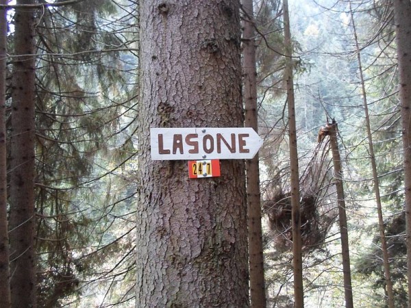 Sentiero Alpi del Lagone