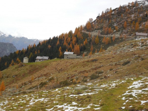 Sentiero Ponte di Prabella - Alpe Sorbella