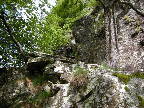 Sentiero Alpe Ortigosa ( via della Scala Granda)