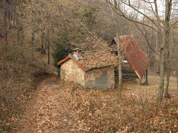 Sentiero Isolella - itinerario 716 (San Bernardo)