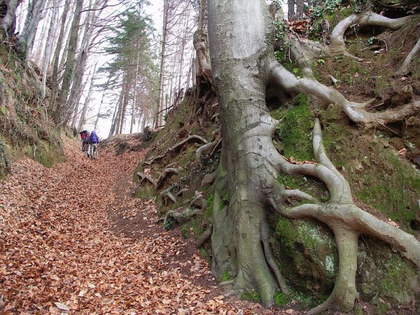 Sentiero Monte San Grato 