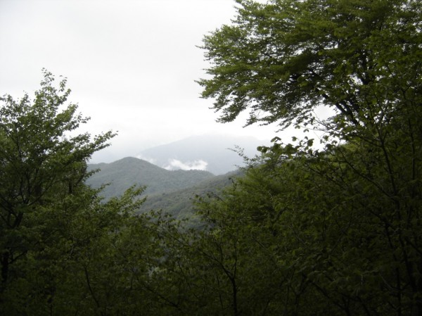 Sentiero Monte Avigno o Navigno