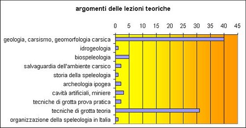 grafico a barre degli argomenti delle lezioni teoriche